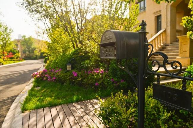 5月的国宝，享受初夏的惬意时光